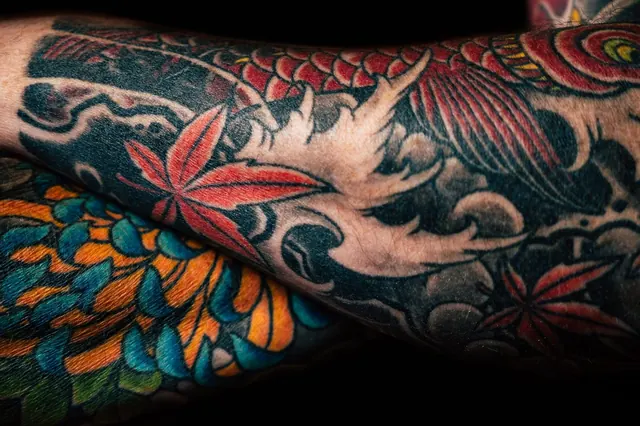 Japanese color tattoo with koi and maple leaves on a forearm, healed