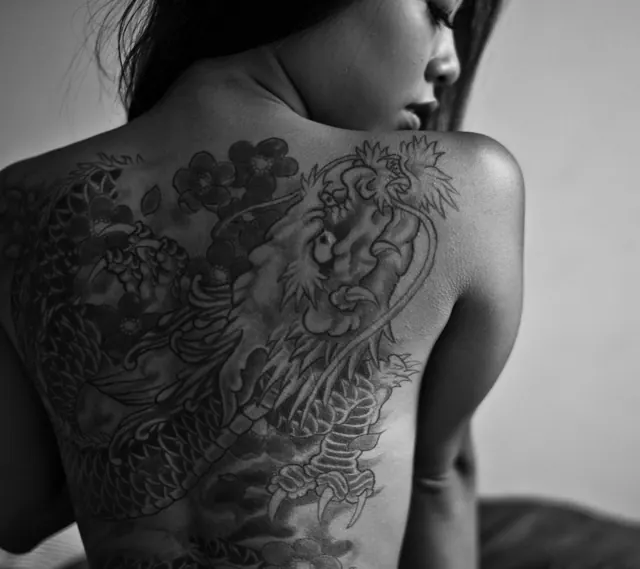 Japanese dragon back piece with cherry blossoms, in progress